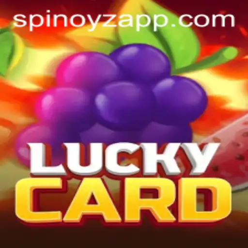 Discovering the Excitement of LuckyCard: Navigating the World of SPINOYZ